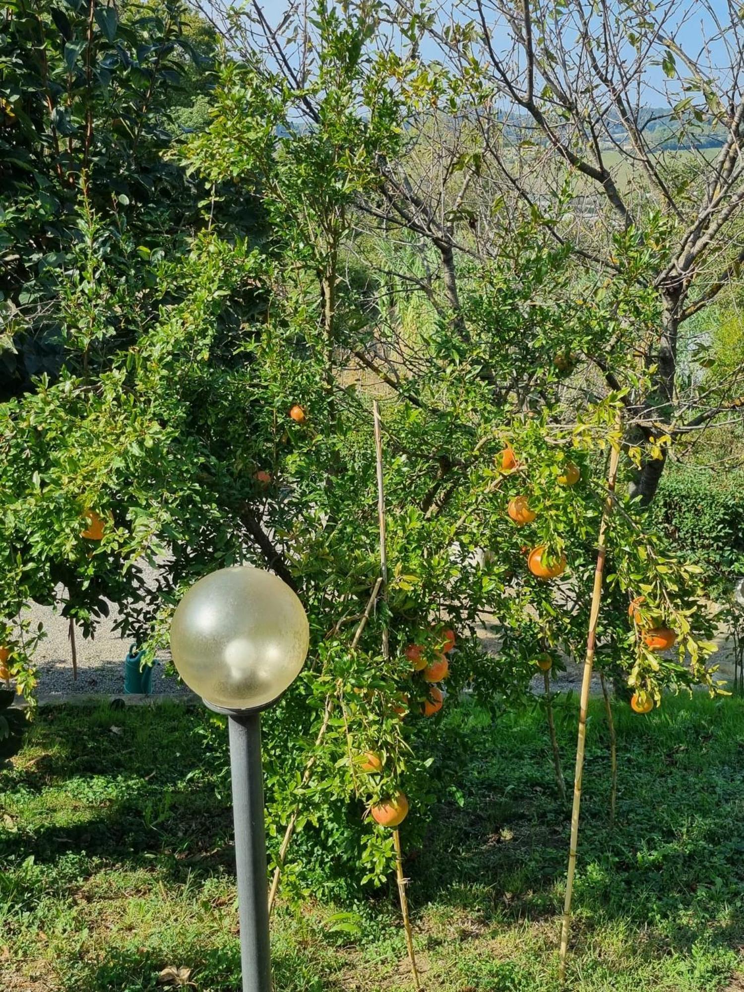 דירות פוג'יבונסי Casa Imola מראה חיצוני תמונה